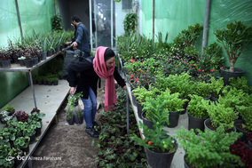 بازار گل و گیاه در آستانه نوروز