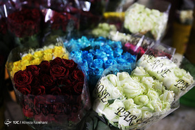 بازار گل و گیاه در آستانه نوروز