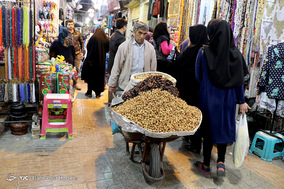 استقبال از نوروز در شیراز