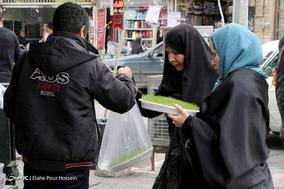 استقبال از نوروز در شیراز
