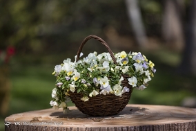 باغ گلها اصفهان