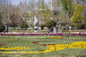 باغ گلها اصفهان