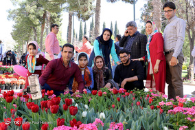 باغ ارم شیراز