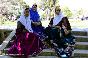 باغ ارم شیراز