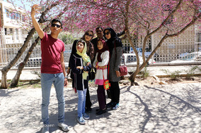 باغ ارم شیراز