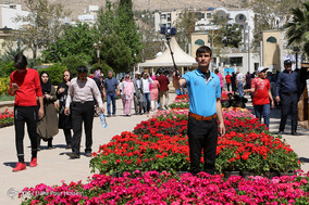 باغ ارم شیراز