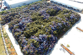 The Bike-Share Oversupply in China Huge Piles of Abandoned and Broken Bicycles