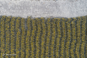 The Bike-Share Oversupply in China Huge Piles of Abandoned and Broken Bicycles