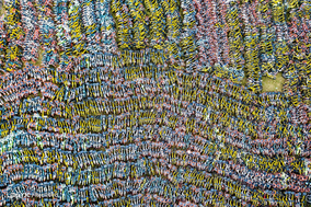 The Bike-Share Oversupply in China Huge Piles of Abandoned and Broken Bicycles