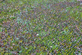 The Bike-Share Oversupply in China Huge Piles of Abandoned and Broken Bicycles