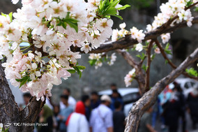 مسافران نوروزی در دربند