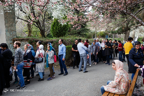 بازدید مسافران نوروزی از محوطه ی مجموعه فرهنگی تاریخی سعدآباد