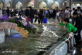 زائران حرم امام رضا (ع)