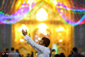زائران حرم امام رضا (ع)