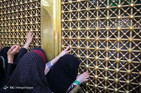 زائران حرم امام رضا (ع)