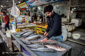 بازار ماهی فروشان محمود آباد