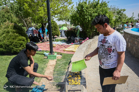 روز طبیعت در قم
