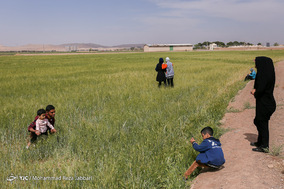 روز طبیعت در قم