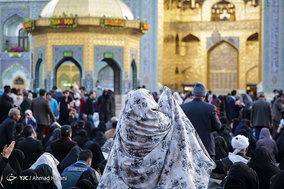 قرائت دعای پرفضیلت ام داوود در حرم مطهر امام رضا (ع)