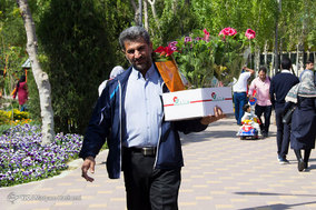 ششمین جشنواره لاله ها در پارک چمران کرج