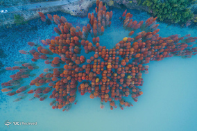 چین از نمای بالا