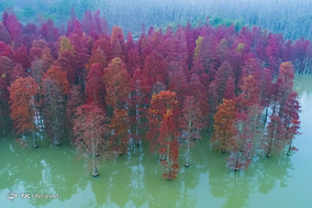 چین از نمای بالا