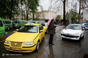بارش باران بهاری در تهران