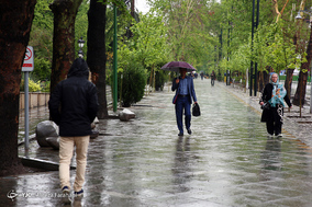 بارش باران بهاری در تهران