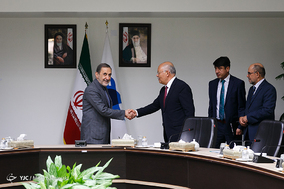 دیدار وزیر تحصیلات عالی افغانستان با علی اکبر ولایتی