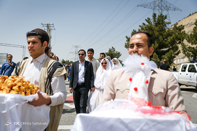 مراسم ازدواج دانشجویی واحد علوم تحقیقات