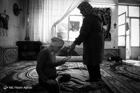 دنیای مرجان