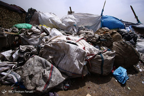 مافیای زباله