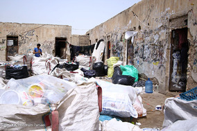 مافیای زباله