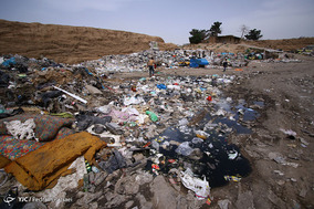 مافیای زباله
