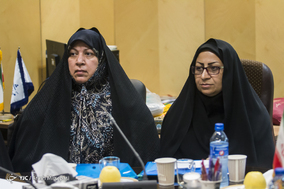 جلسه مشترک فراکسیون زنان مجلس شوراس اسلامی با بانوان استانداری های سراسر کشور