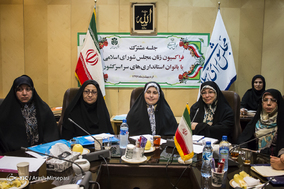 جلسه مشترک فراکسیون زنان مجلس شوراس اسلامی با بانوان استانداری های سراسر کشور