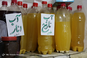 بازرسی گشت تعزیرات از واحد های صنفی مرغ و ماهی