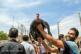 مرکز خرید و فروش پرندگان زینتی آزادگان