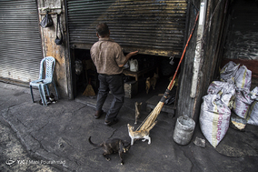 عمو فرامرز