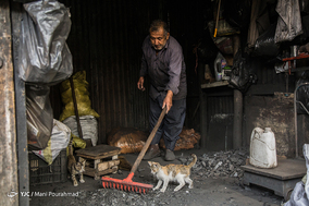 عمو فرامرز
