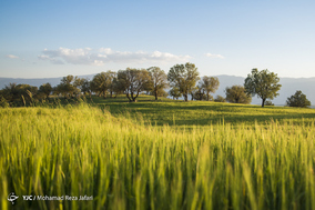طبیعت زیبای دهدز ـ خوزستان