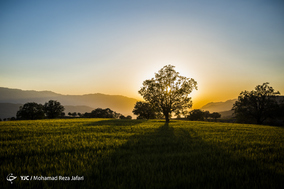 طبیعت زیبای دهدز ـ خوزستان