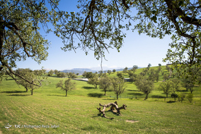 طبیعت زیبای دهدز ـ خوزستان