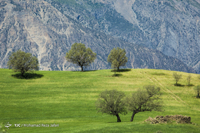 طبیعت زیبای دهدز ـ خوزستان
