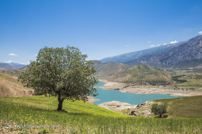 طبیعت زیبای دهدز ـ خوزستان
