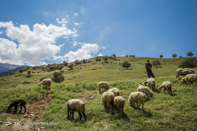 طبیعت زیبای دهدز ـ خوزستان