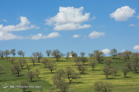 طبیعت زیبای دهدز ـ خوزستان