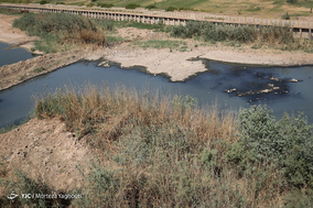 فاجعه زیست‌محیطی