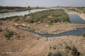 فاجعه زیست‌محیطی