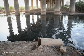 فاجعه زیست‌محیطی